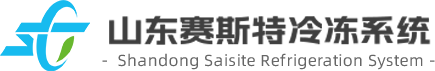 赛斯特